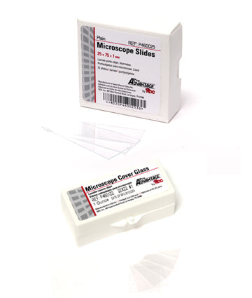 Microscope slides and cover glasses are displayed next to their respective packaging on a white background. The slide box says "Plain Microscope Slides, 25 x 75 x 1 mm," and the cover glass box says "Microscope Cover Glass REF P480122 22x22 No.1."