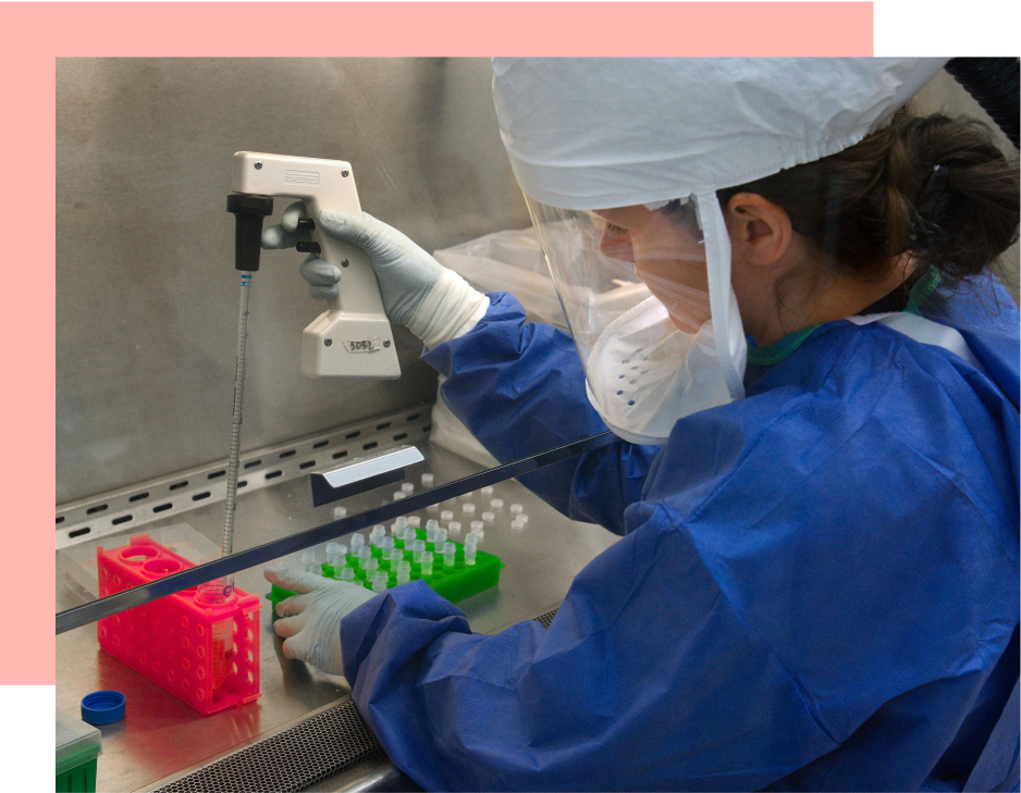 A scientist in a biosafety cabinet uses a pipette to transfer liquid into sample tubes.