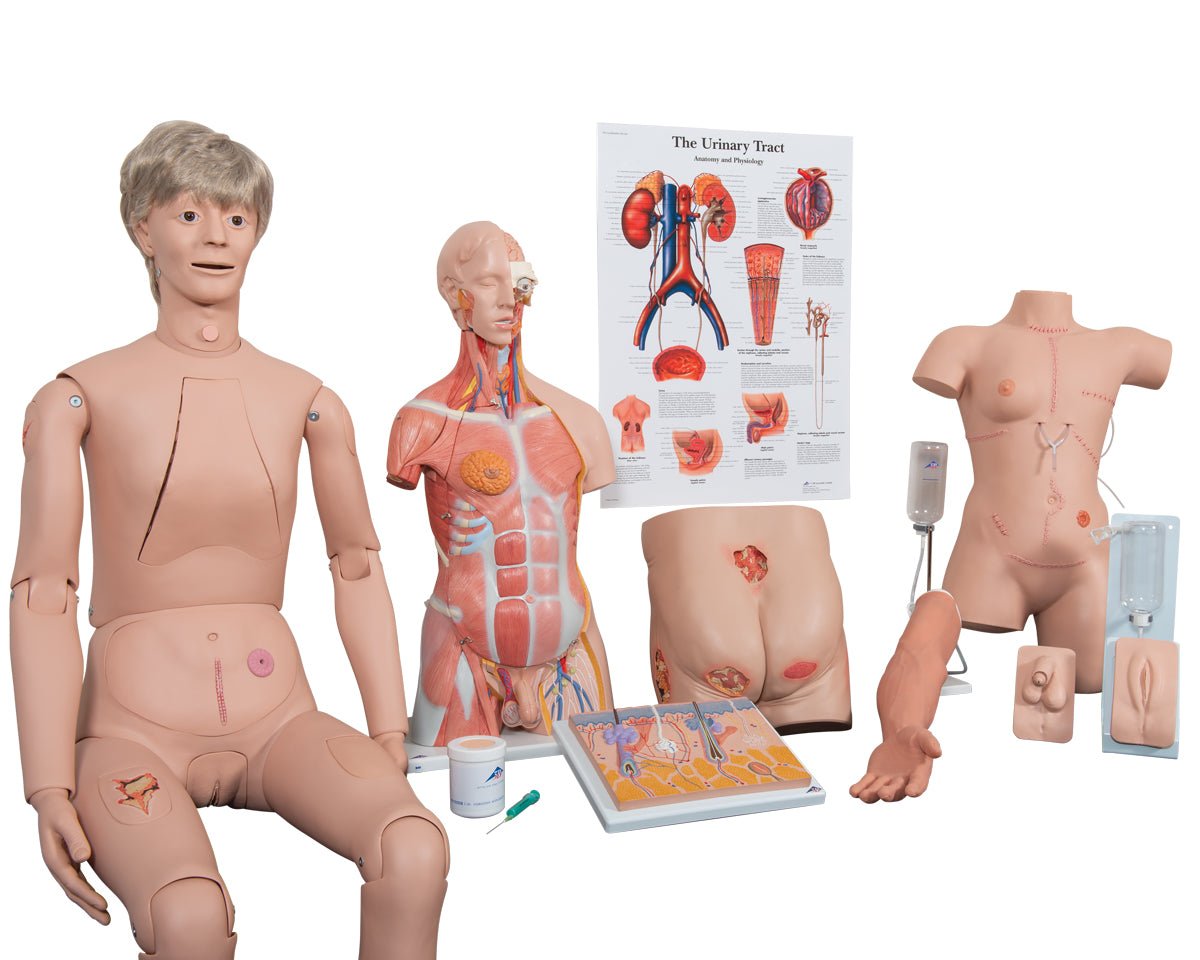 Anatomical models, including a full-body mannequin and torso sections, are displayed with a chart. The chart's title is "The Urinary Tract Anatomy and Physiology".