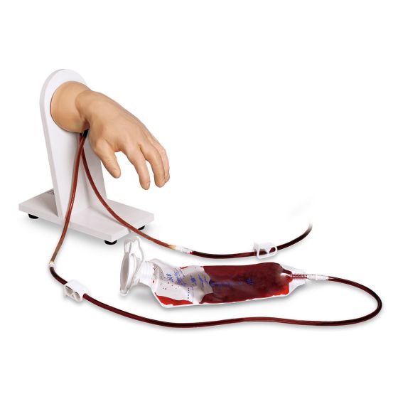A training arm model is attached to tubing connected to a simulated blood bag; the setup rests on a white base.