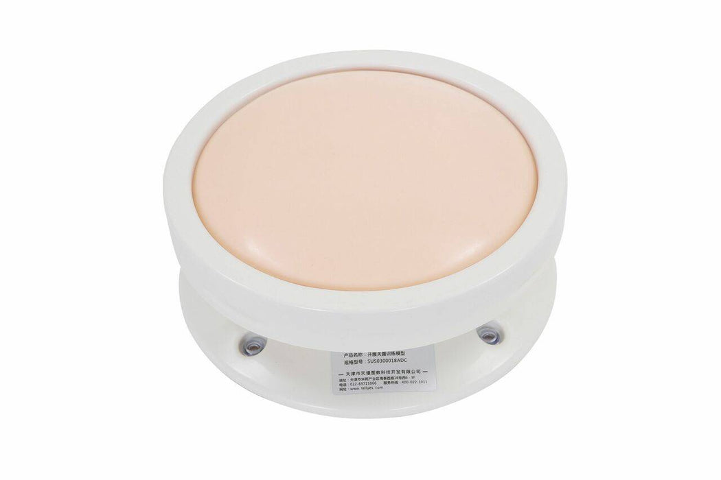 A round, light-pink disc sits atop a white base. It rests on a white background. Product Name: Open Abdomen Training Model; Model Number: SUS0300018ADC. Manufacturer: Tianrang Medical Education Technology Development Co., Ltd. Phone: 400-022-1011.