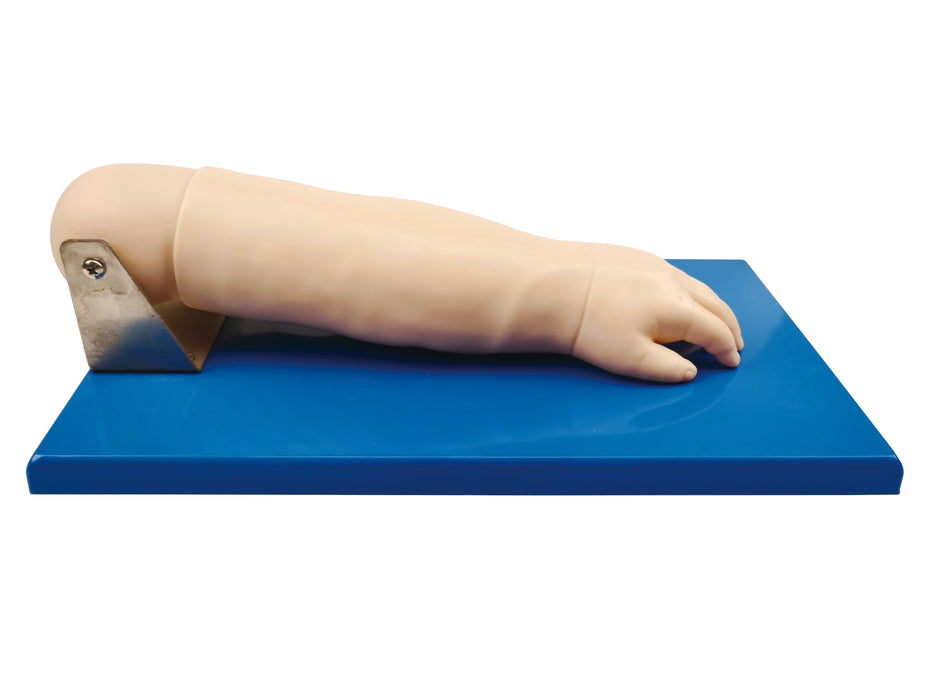 A realistic arm model rests on a blue base. The arm is positioned as if lying on a flat surface. The model is likely used for medical training.