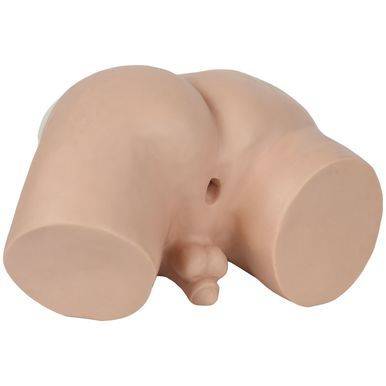 A flesh-toned male torso model rests on a surface. The model is sculpted from a smooth material and shows the buttocks, hips, and penis.