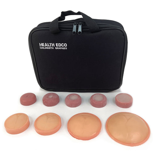 A black carrying case contains and organizes several small, disc-shaped models. The case is labeled “HEALTH EDCO CHILDBIRTH GRAPHICS”.