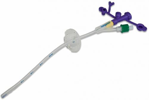 A Kangaroo feeding tube lies on a white background. It is a flexible, clear tube with a circular connector and a purple multi-port connector.
