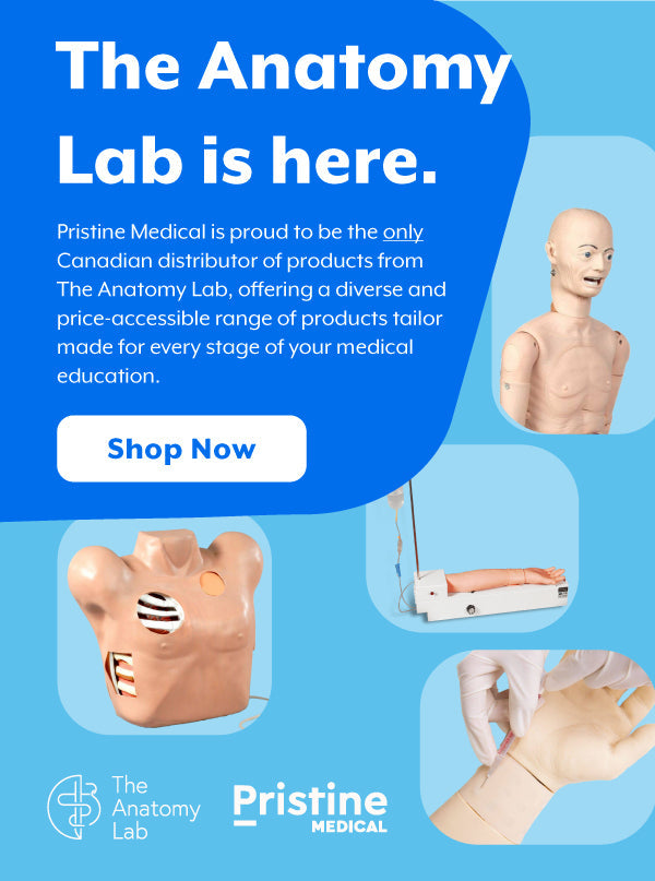 Anatomical models, displayed for sale, advertise a Canadian medical distributor's diverse product range for medical education.
