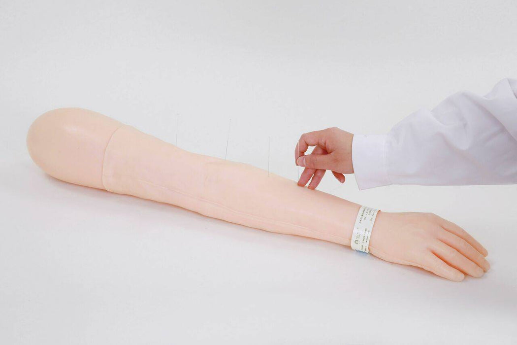 A training arm receives acupuncture needles; a hand inserts them. The setting is a bright, clean surface.
