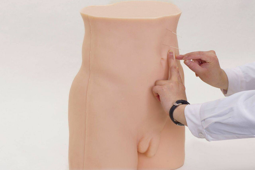 A torso mannequin is being used for acupuncture; needles are inserted into its abdomen by hands wearing a white lab coat. The setting appears to be a clinical or training environment.