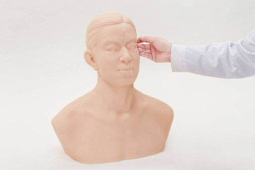 A training mannequin head is having acupuncture needles inserted into its face by a hand in a white lab coat, against a plain white backdrop.