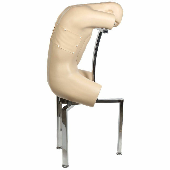 A torso mannequin, mounted on a chrome stand, is positioned in a hunched posture against a white background.