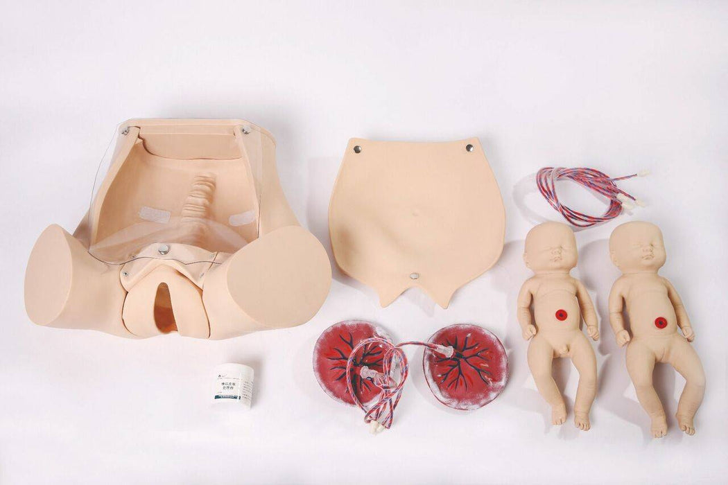 A childbirth simulator, comprising a pelvis model, two infant models, placental models, and umbilical cords, is shown on a white surface.