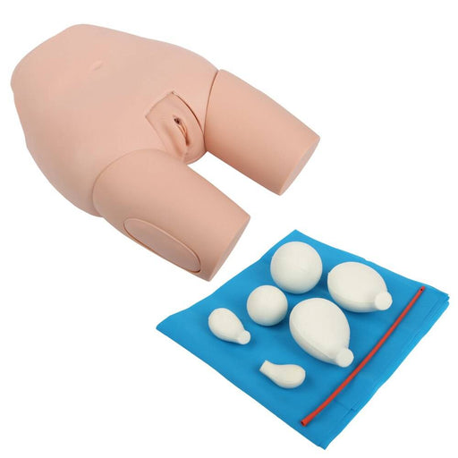 A pelvic model rests on a surface beside a blue cloth containing several smaller, white, simulated anatomical parts.