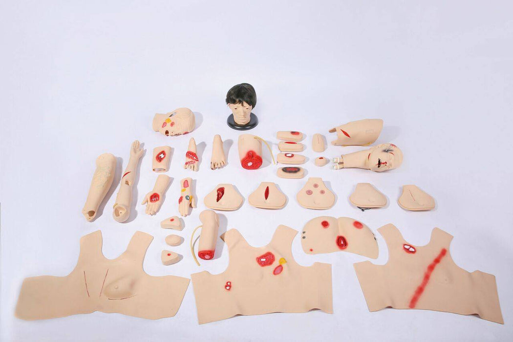 A dismembered training mannequin, displaying various wounds, is arranged on a white surface. The parts include a torso, limbs, and head.