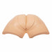 A flesh-toned anatomical model of buttocks rests on a white background.