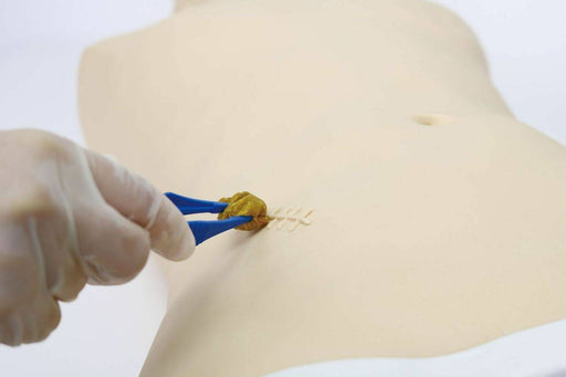A gloved hand uses forceps to apply a yellow substance to a simulated incision on a training torso.