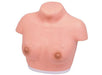A female torso model sits on a white base. It is light pink and features two nipples.