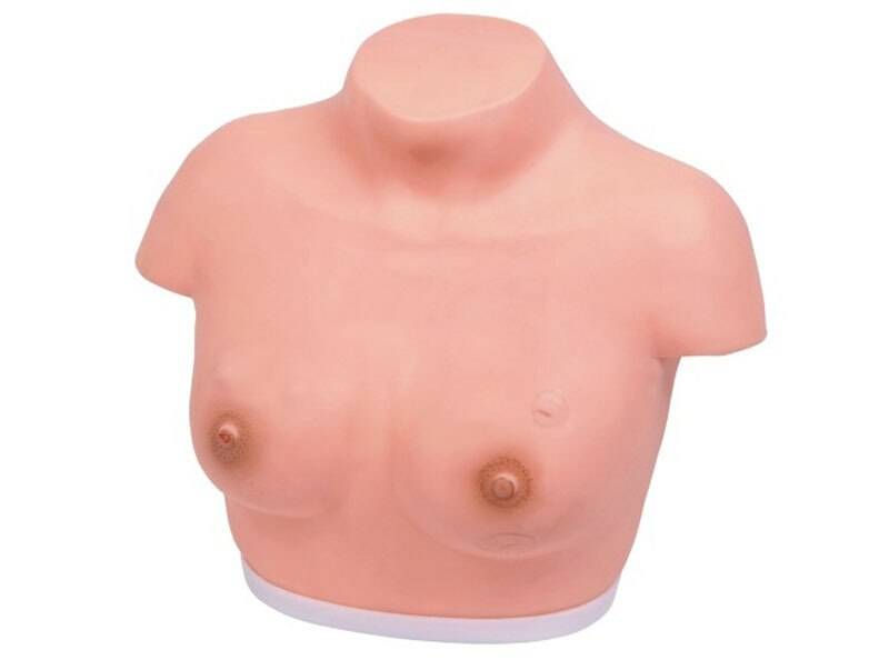 A female torso model sits on a white base. It is light pink and features two nipples.