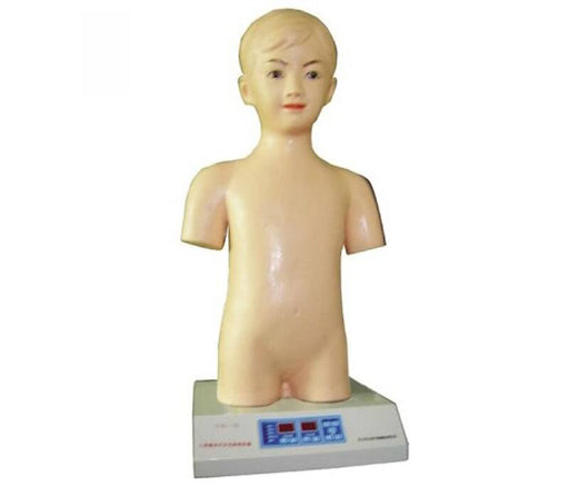 A child's torso model sits on a base with a digital display. The model is light beige and shows anatomical details. It is likely used for educational purposes.