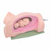 A fetal model rests within a pink anatomical model of a birth canal, displayed on a flat green surface.