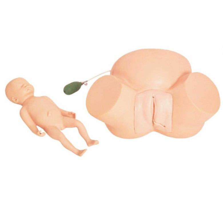 A newborn infant model lies near a childbirth simulator; both are flesh-toned and positioned on a plain white background.