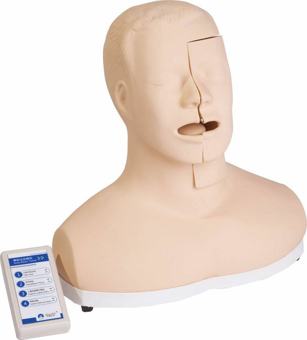 A realistic anatomical head and neck model sits on a white base; it is sectioned for medical training. A small control unit is next to it. The unit's text is mostly in another language. One visible English word is “Artery”.