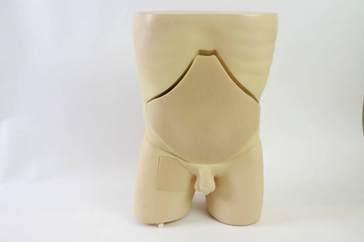 A beige plastic torso model sits on a white surface; a section of the abdomen is removable.