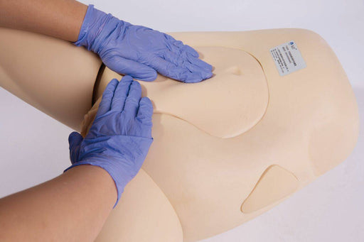 Gloved hands palpate a mannequin abdomen in an instructional setting.