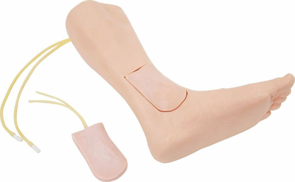 A realistic model of a lower leg and foot is shown. It has tubes attached, and a separate, smaller, similarly-colored piece lies beside it. The model is likely for medical training purposes.