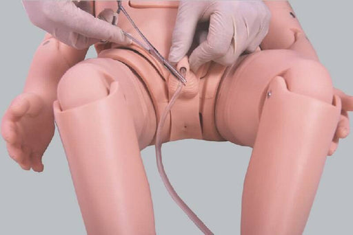A medical dummy has a catheter inserted by gloved hands in front of a grey background.