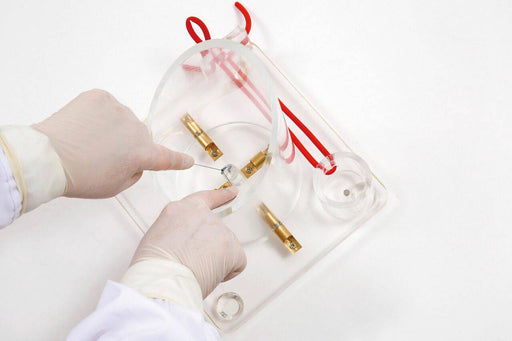 Gloved hands manipulate a small object with a needle in a clear, plastic container with attached golden components and red tubing, set against a white backdrop.
