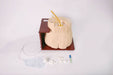A medical training model, simulating a urinary catheterization procedure, sits on a brown base. A clear drainage bag and additional equipment are nearby.