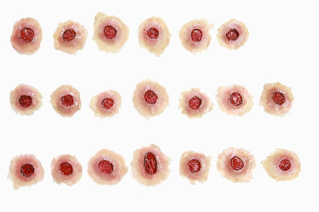 Twenty simulated bullet wounds are arranged in four rows on a white background. Each wound is a small, flesh-toned circle with a central, red dot simulating blood.