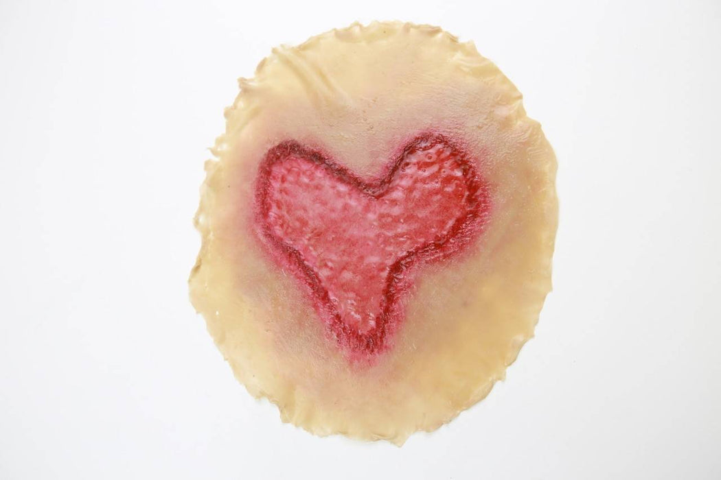 A flesh-colored, irregular disc displays a red heart-shaped mark. The mark appears to be a wound or imprint. The disc rests on a white background.
