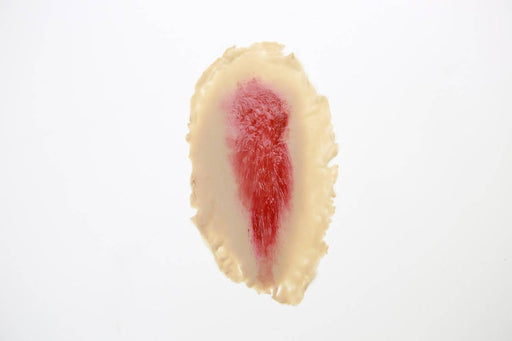 A simulated wound, exhibiting a laceration with simulated blood, rests on a plain white background.