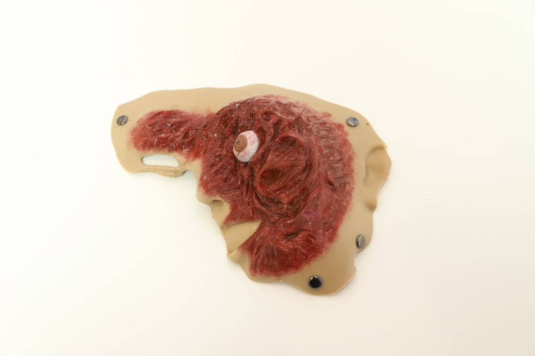A prosthetic simulates a severe facial wound; a disfigured area of skin with a visible eyeball rests on a beige surface.