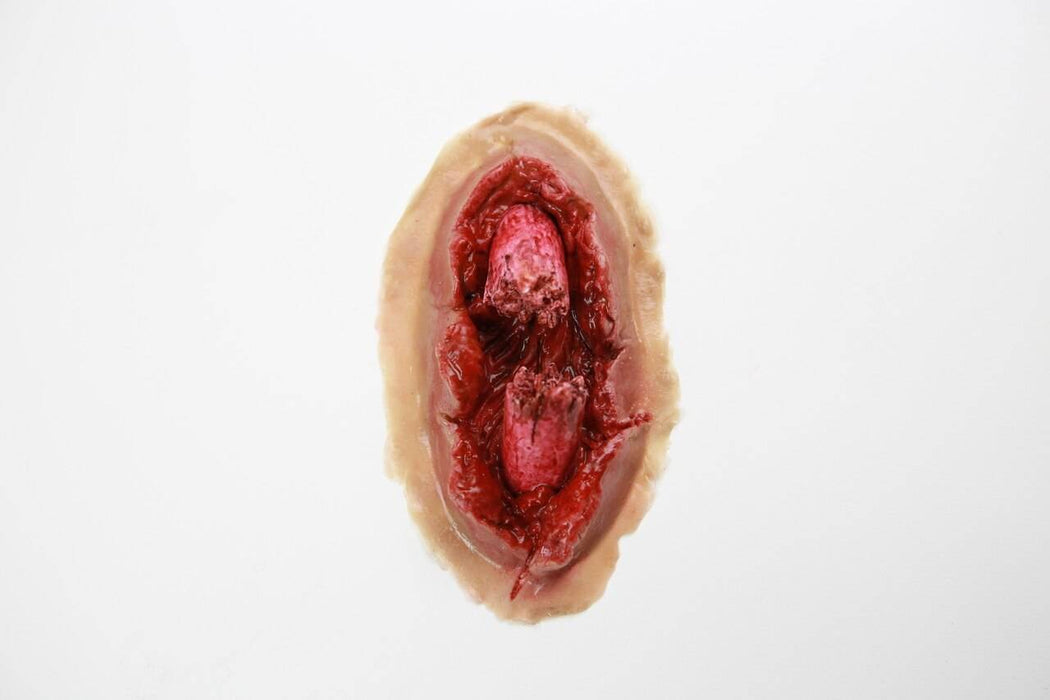 A simulated wound, appearing lacerated and bloody, rests on a plain white background.