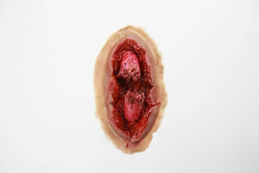 A simulated wound, appearing lacerated and bloody, rests on a plain white background.