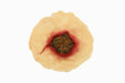 A simulated wound, exhibiting a deep puncture with dark, granular matter and red coloration, is presented against a white background.