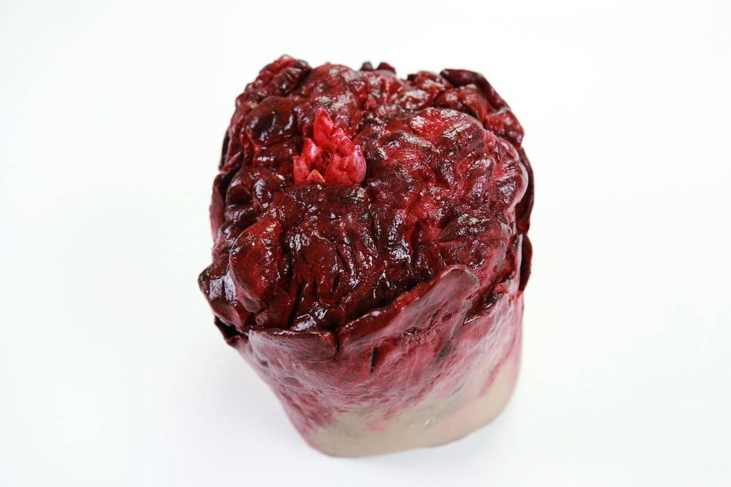 Anatomy Lab Moulage - Wearable Arms Amputation