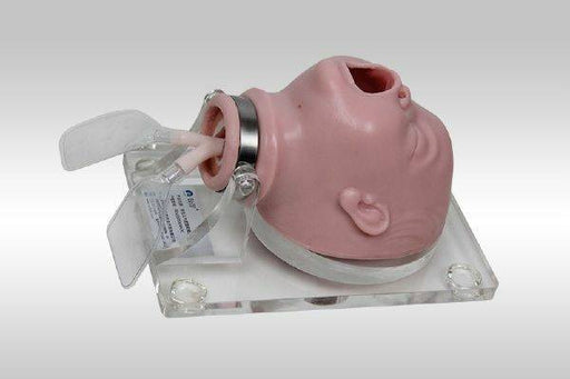 A baby head model is mounted on a clear acrylic base; tubes are attached to the model's mouth. The model is for medical training.