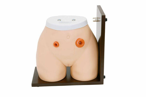 A mannequin torso with stomas is mounted on a brown stand. The mannequin is flesh-toned and has a white top.
