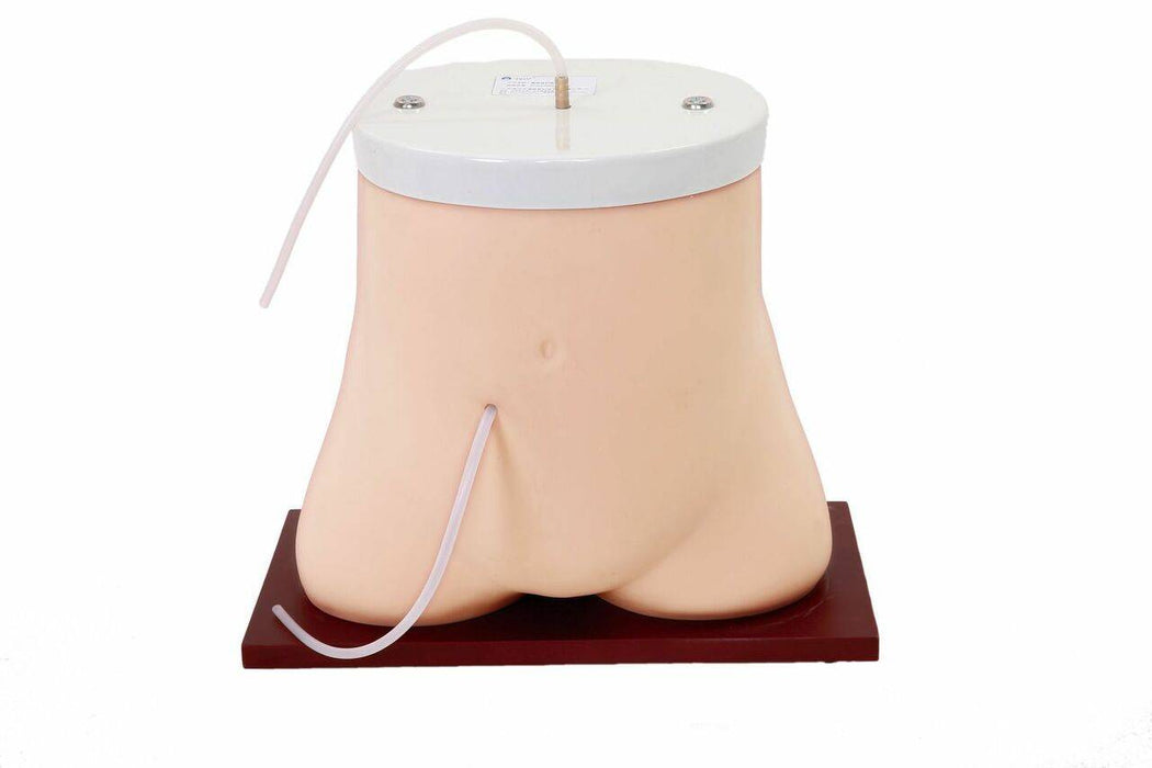 A mannequin torso sits atop a reddish-brown, square base. A white tube inserts into a side opening and connects to the white, flat top.