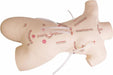 A light beige mannequin torso has many red sutured wounds and pink, circular spots. Clear plastic tubing is inserted into some of the wounds.
