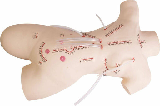 A light beige mannequin torso has many red sutured wounds and pink, circular spots. Clear plastic tubing is inserted into some of the wounds.
