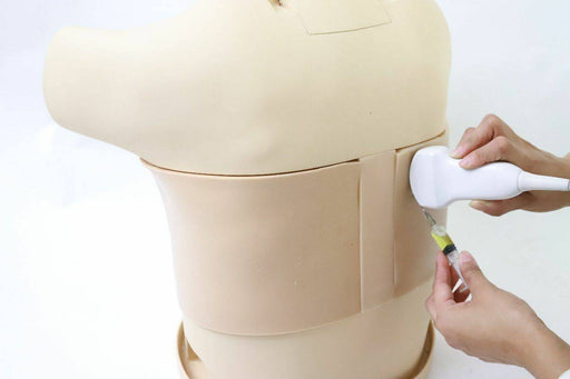 A torso mannequin receives an injection guided by a white ultrasound probe. The scene is set against a stark white background.