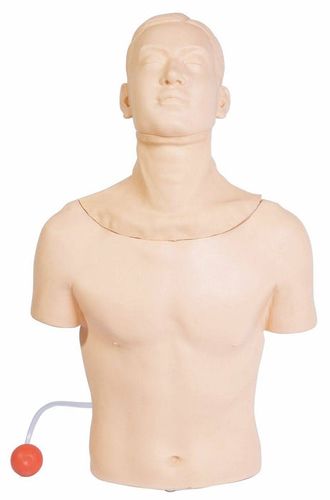 A light-skinned anatomical torso, cropped at mid-thigh and without facial features, stands isolated in a white background. A red circle, connected by a line, is near the left hip.