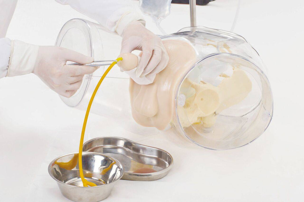 Gloved hands use tools on a plastic training dummy within a clear container, with a yellow tube draining fluid into metal containers on a white surface.