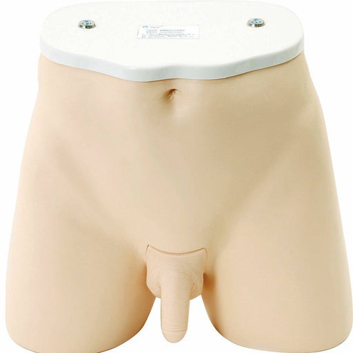 A mannequin torso, tan-colored and displaying male genitalia, stands upright against a white background.
