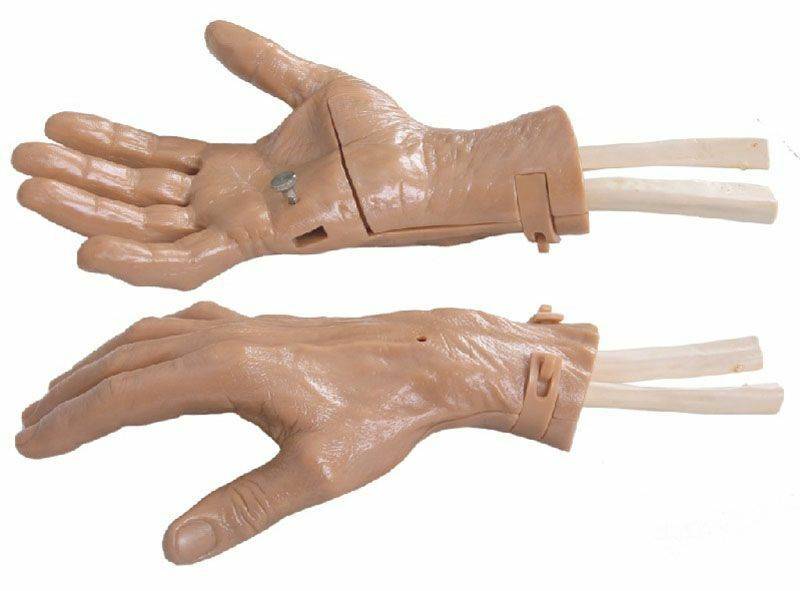 Two anatomical model hands rest on a white surface. The top hand is open, palm-up, and mechanically segmented with visible hardware; the bottom hand is palm-down, slightly clenched. Both reveal simulated bones at the wrists.