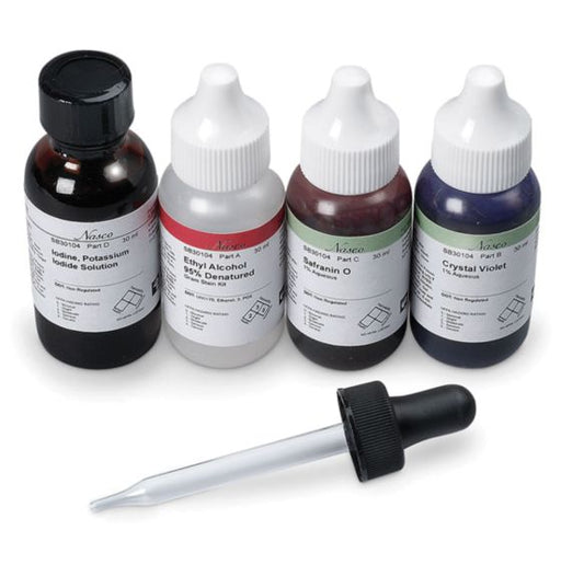 Four small dropper bottles of different colored liquids sit in a row, with a dropper laying in front of them.